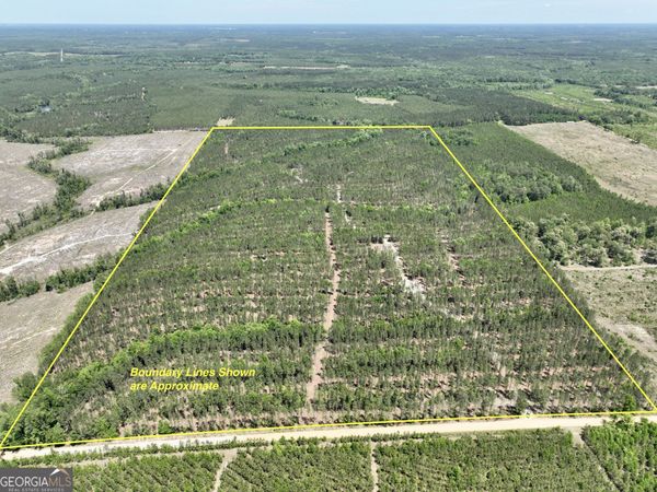 0 Jerry Farmer Road, Eastman, GA 31023