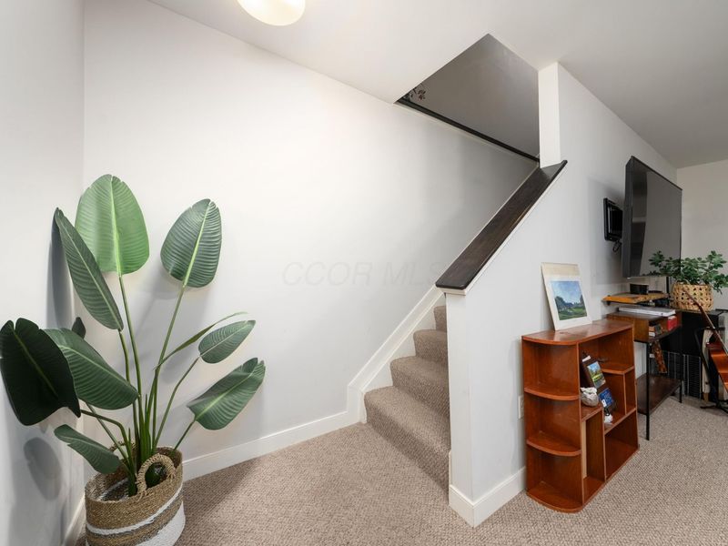 1303 N Grant Avenue, Columbus, OH 43201 Photo 59