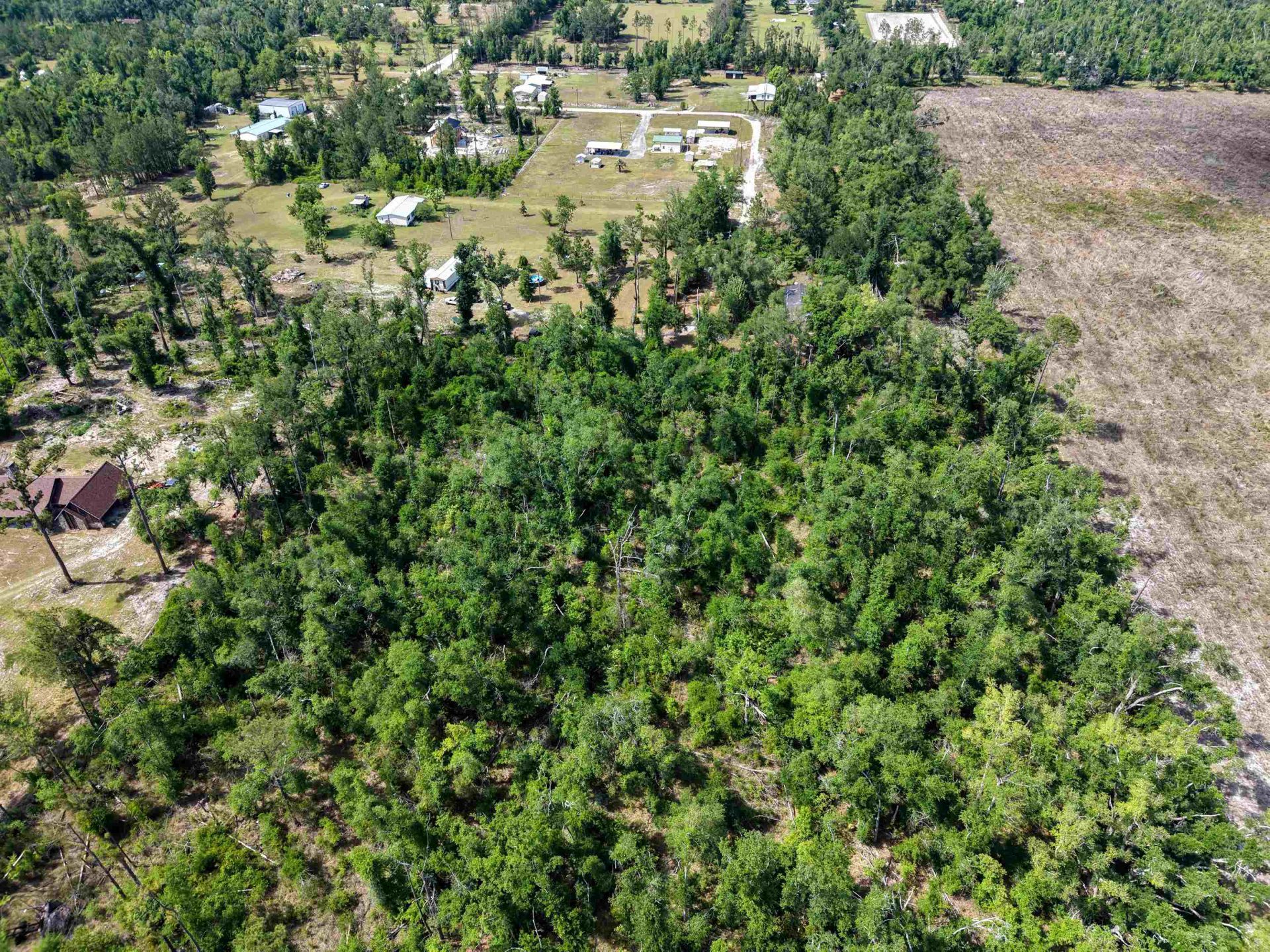 Vacant Charles Sadler Lane , Perry, FL 32347 Photo