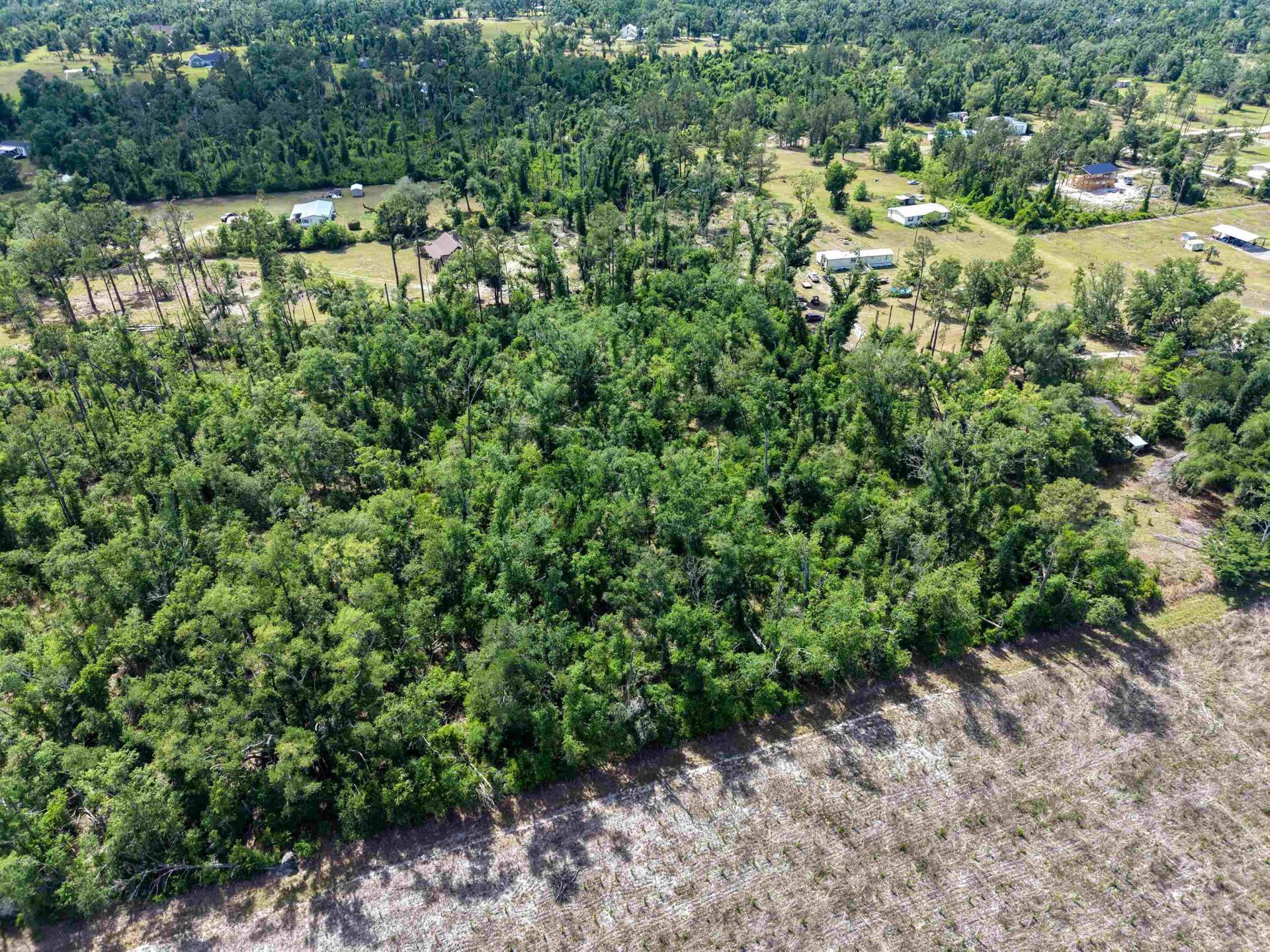 Vacant Charles Sadler Lane , Perry, FL 32347 Photo