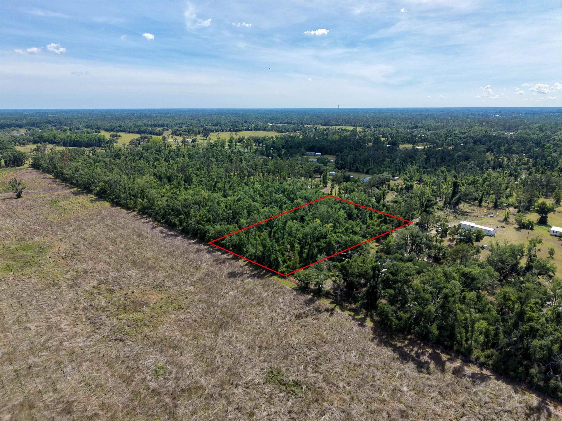 Vacant Charles Sadler Lane , Perry, FL 32347 Photo