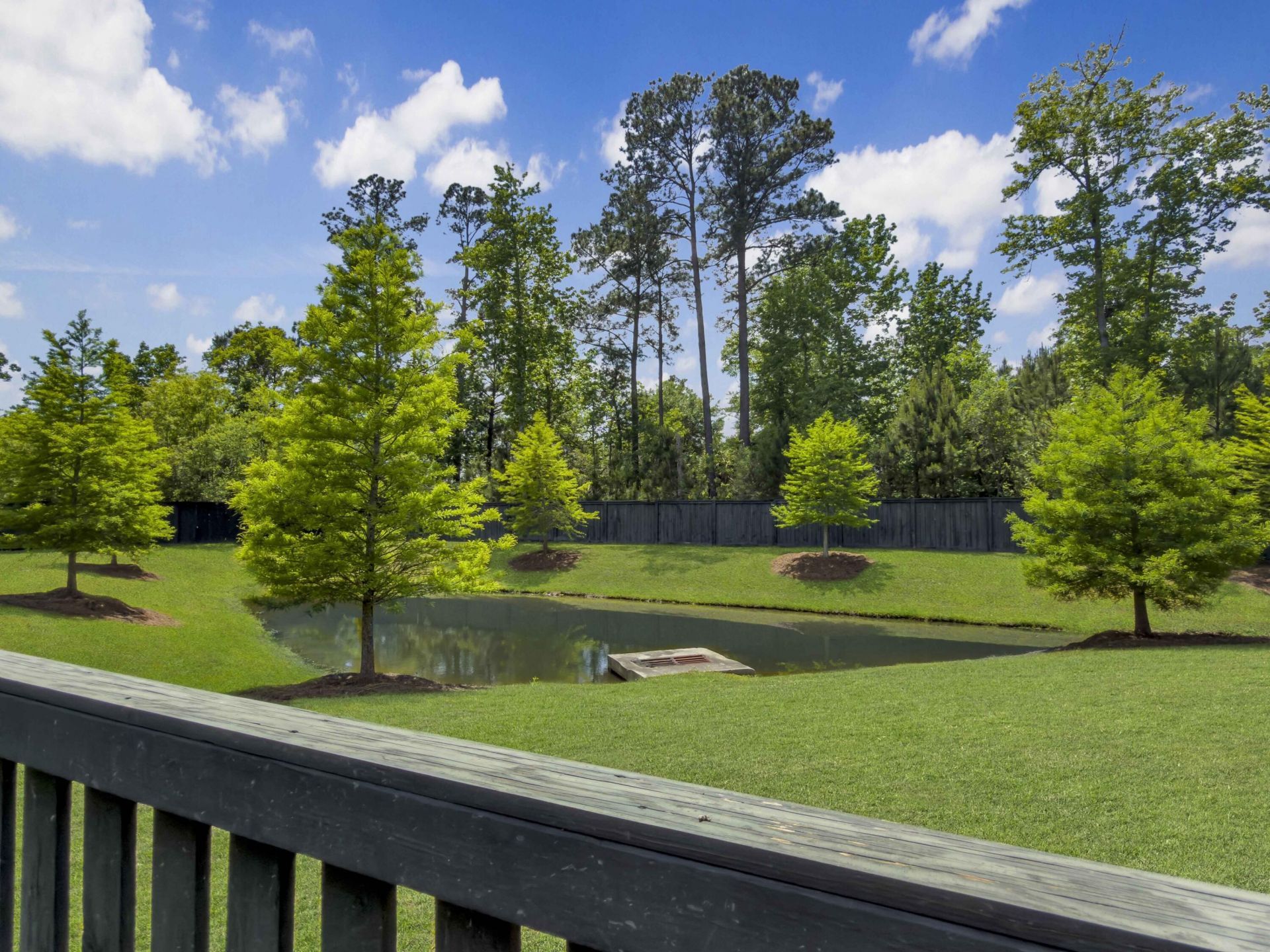 2290 Braided Lane Photo 36