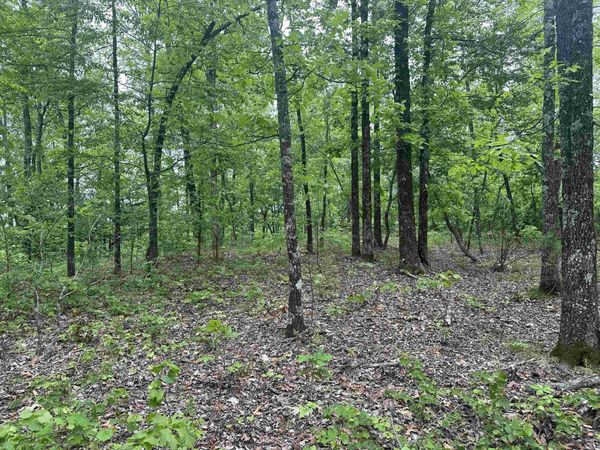 000 Holly Mtn Rd , Clinton, AR 72031