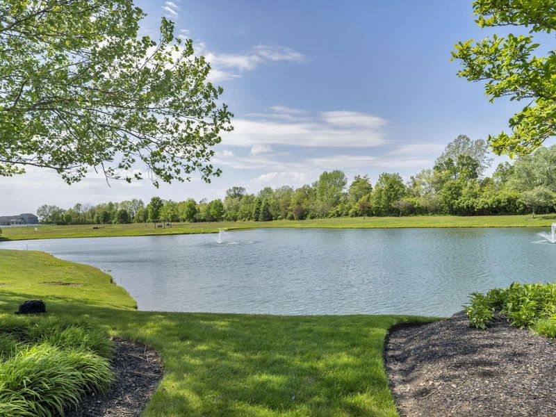 6838 Bigerton Bend, Canal Winchester, OH 43110 Photo 37