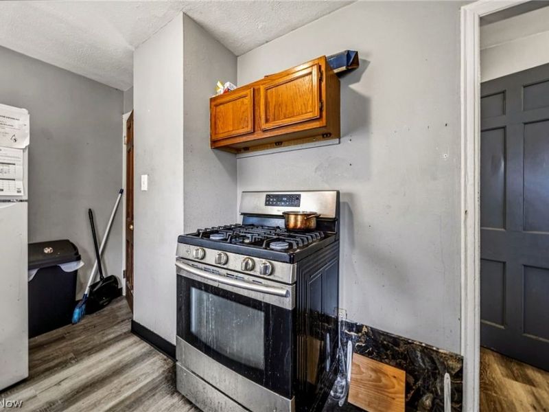 955 Nye Road, Cleveland, OH 44110 Photo 9