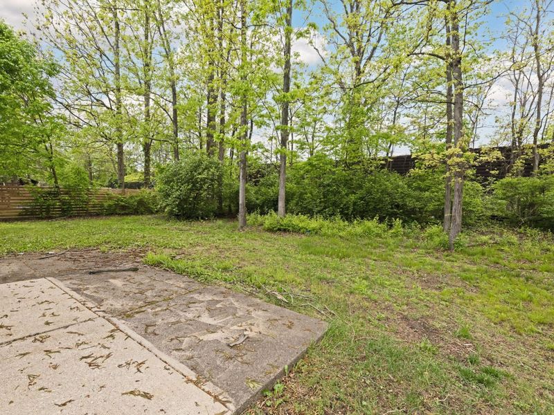 Westerville, OH 43081 Photo 33