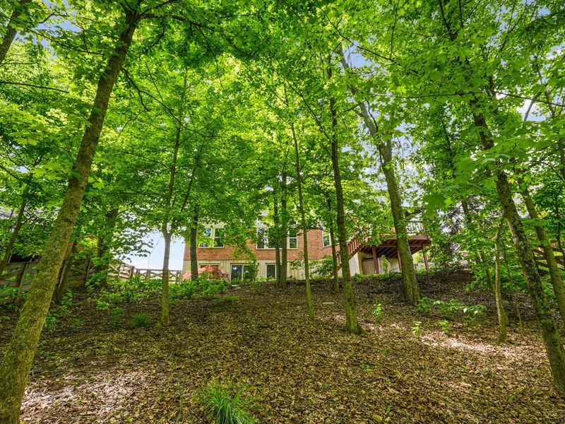 2767 Sycamore Creek Drive, Independence, KY 41051 Photo 28