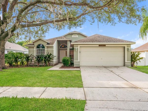 11015 PEKING PLACE, TAMPA, FL 33624