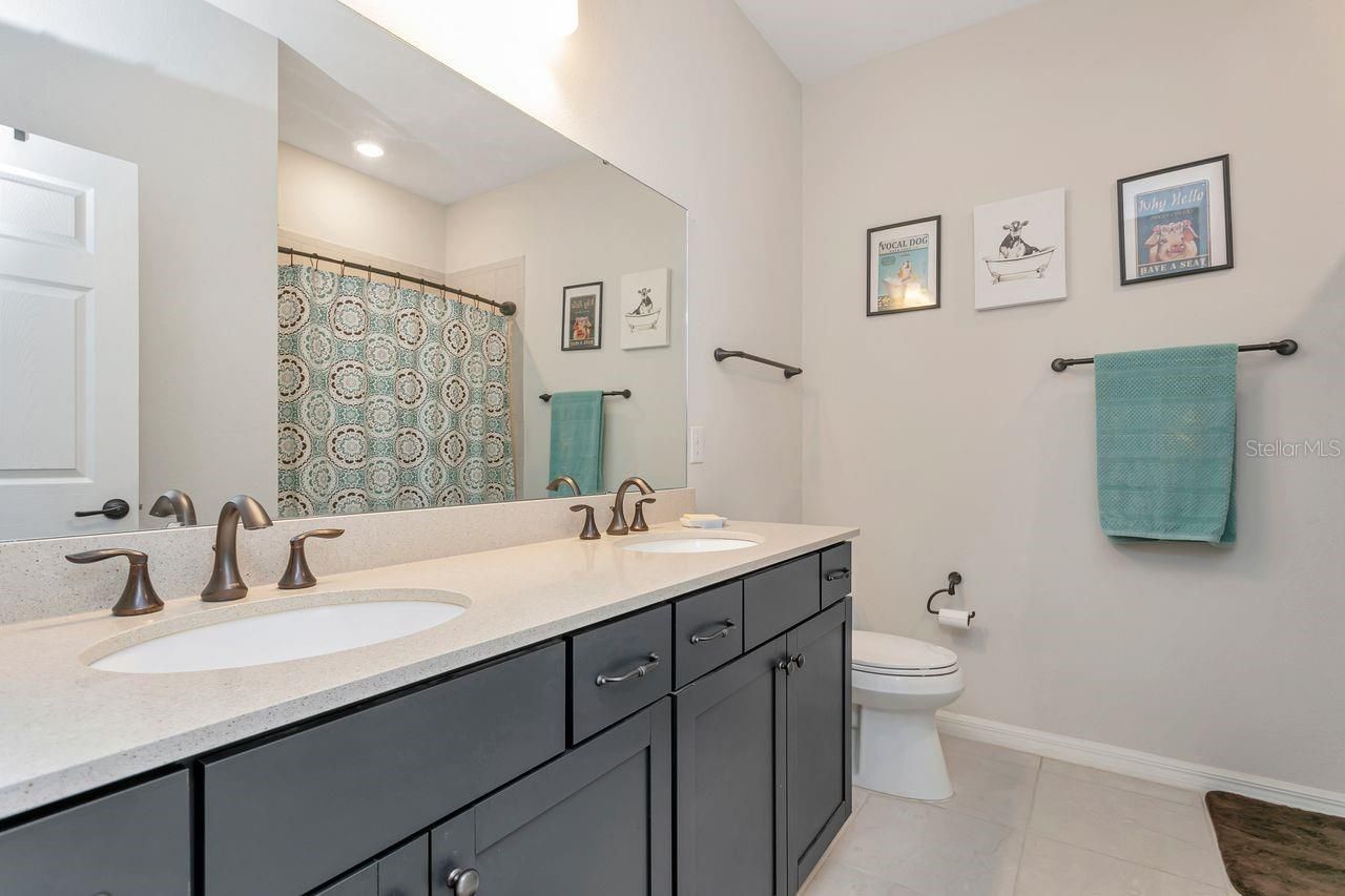11701 Brighton Knoll Loop, Riverview, FL 33579 Photo