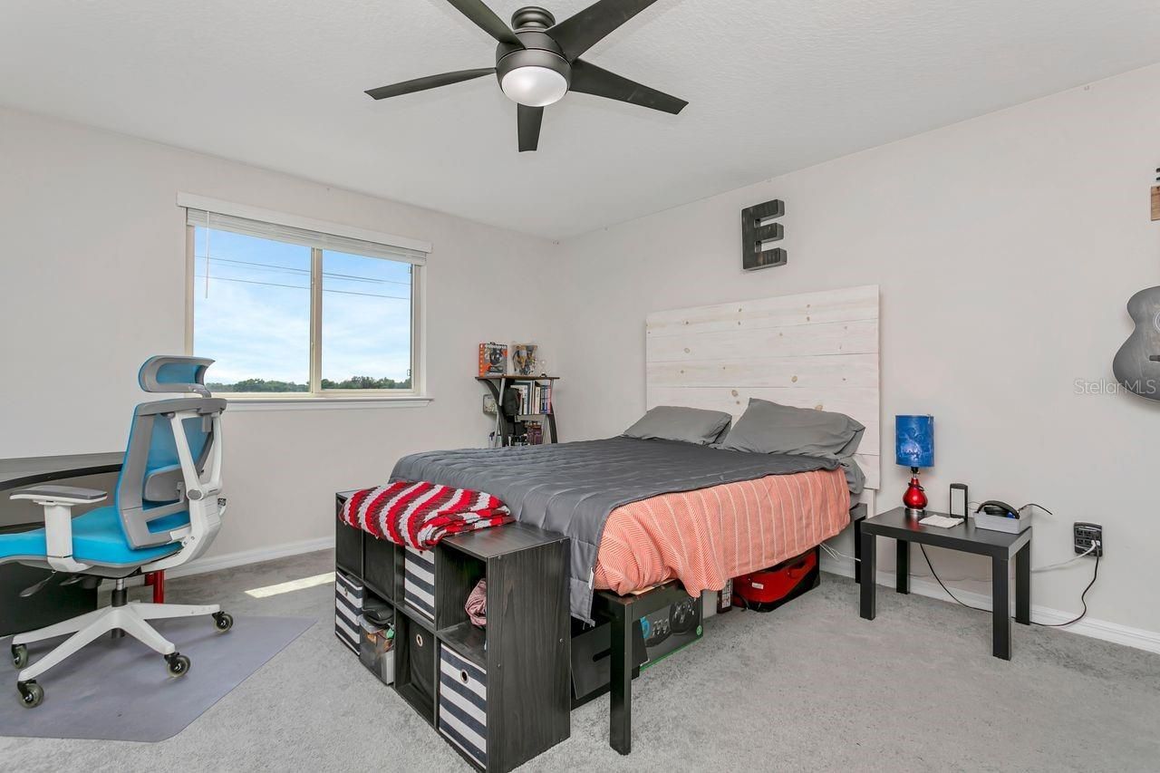 11701 Brighton Knoll Loop, Riverview, FL 33579 Photo