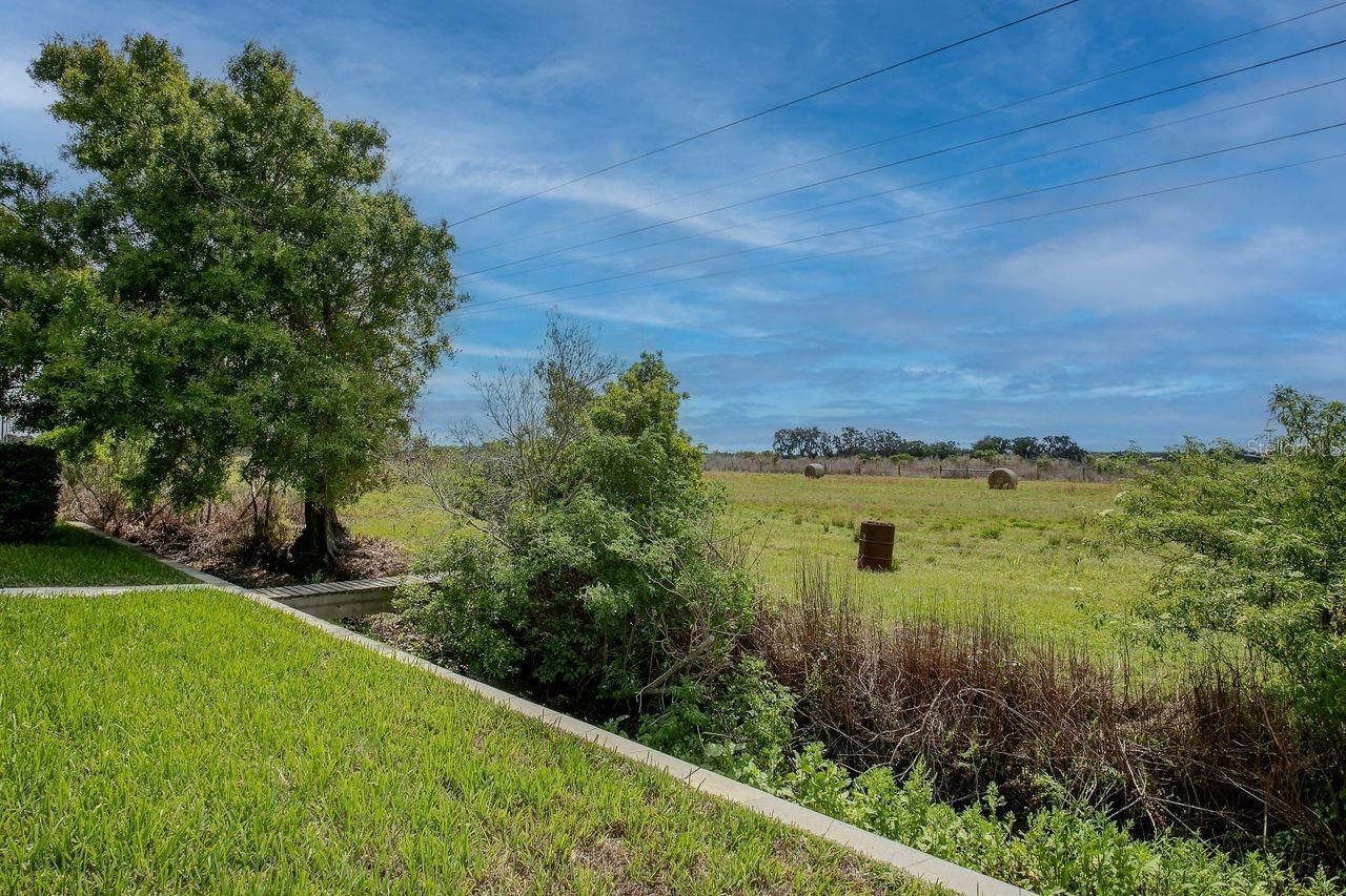 11701 Brighton Knoll Loop, Riverview, FL 33579 Photo