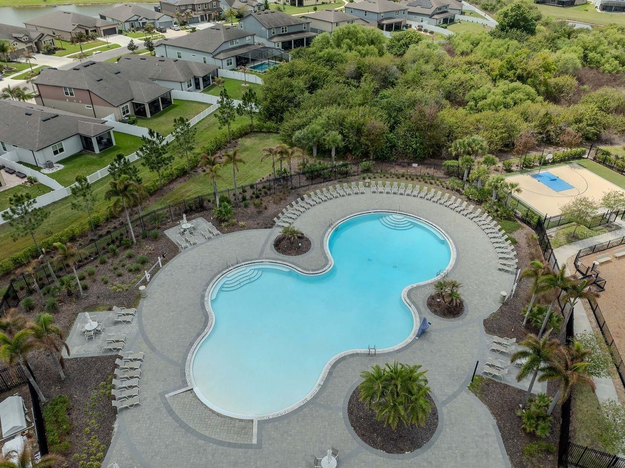 11701 Brighton Knoll Loop, Riverview, FL 33579 Photo