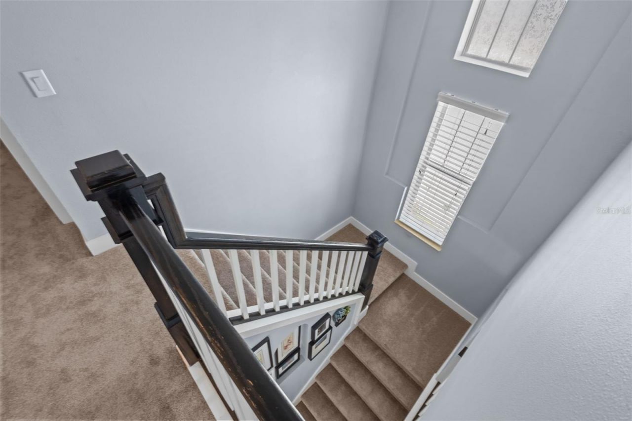 3537 Pickerell Place, New Port Richey, FL 34655 Photo