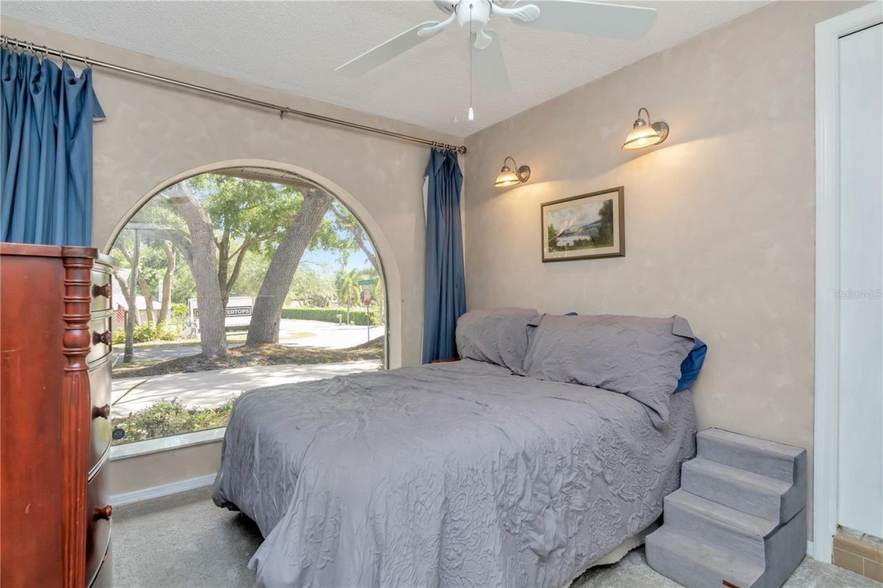 2820 Valencia Lane W, Palm Harbor, FL 34684 Photo