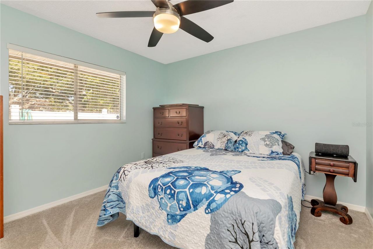 2820 Valencia Lane W, Palm Harbor, FL 34684 Photo
