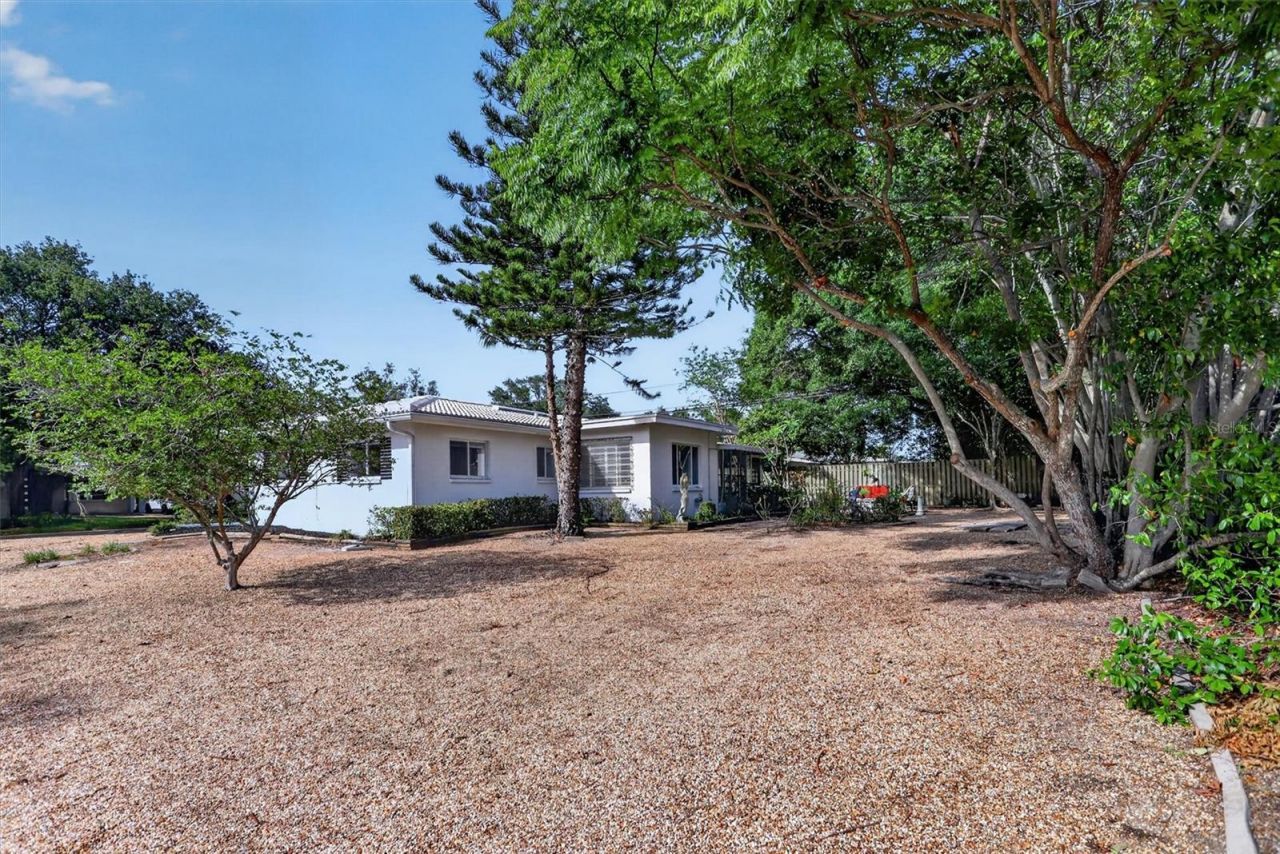 2033 Timber Lane, Clearwater, FL 33763 Photo