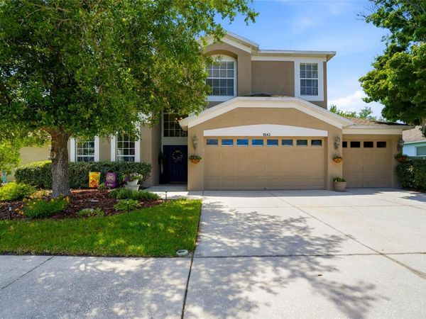 9643 ASBEL ESTATES STREET , LAND O LAKES, FL 34638
