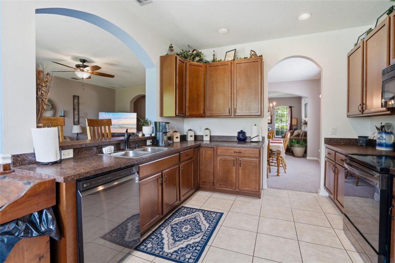 9643 Asbel Estates Street, Land O Lakes, FL 34638 Photo
