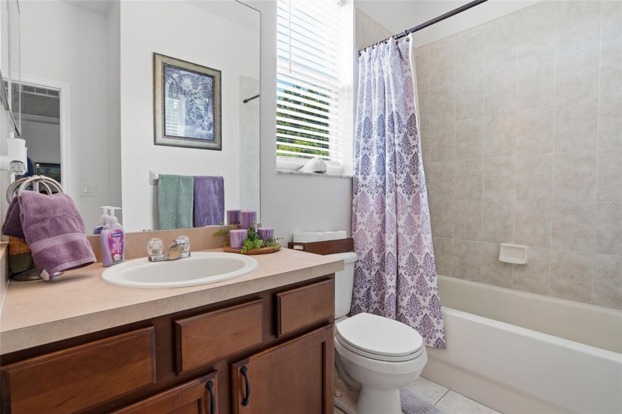 9643 Asbel Estates Street, Land O Lakes, FL 34638 Photo