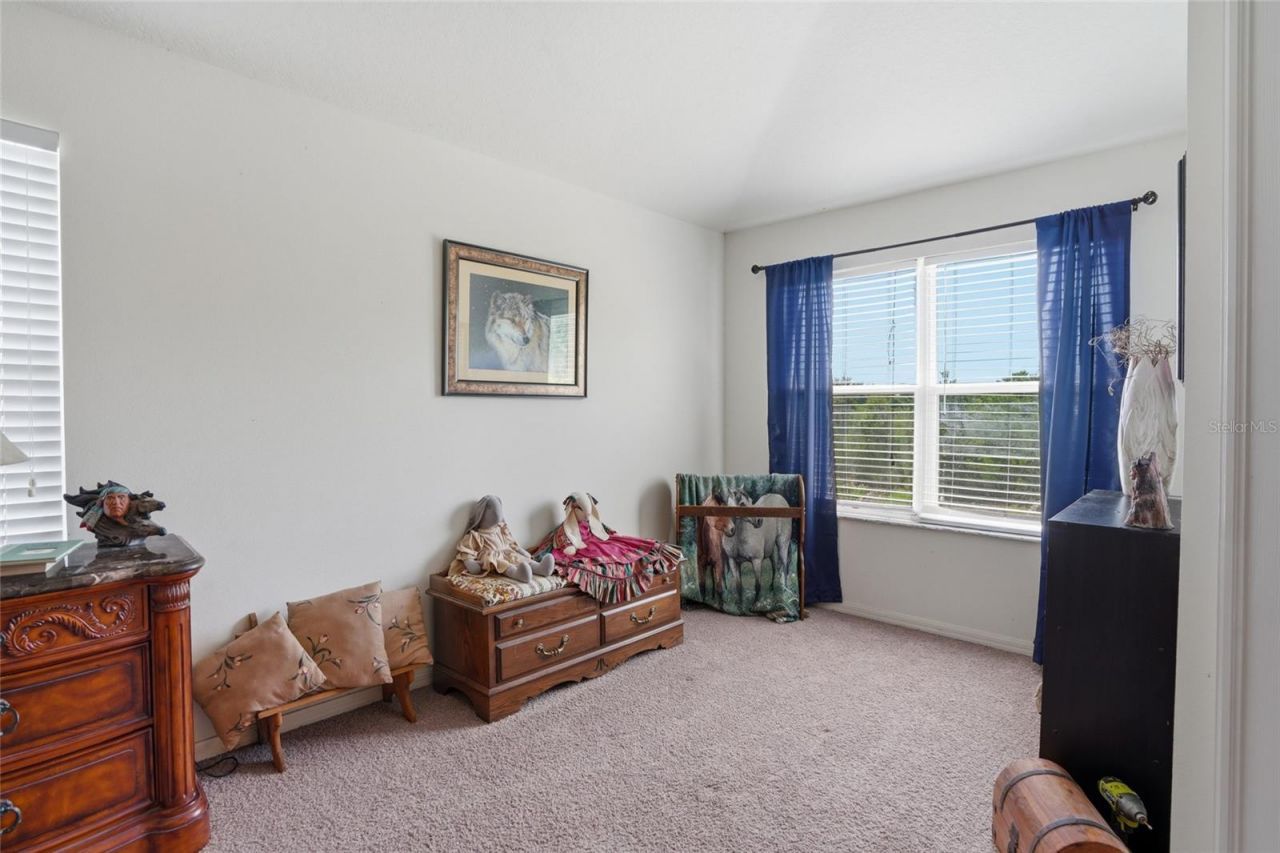 9643 Asbel Estates Street, Land O Lakes, FL 34638 Photo