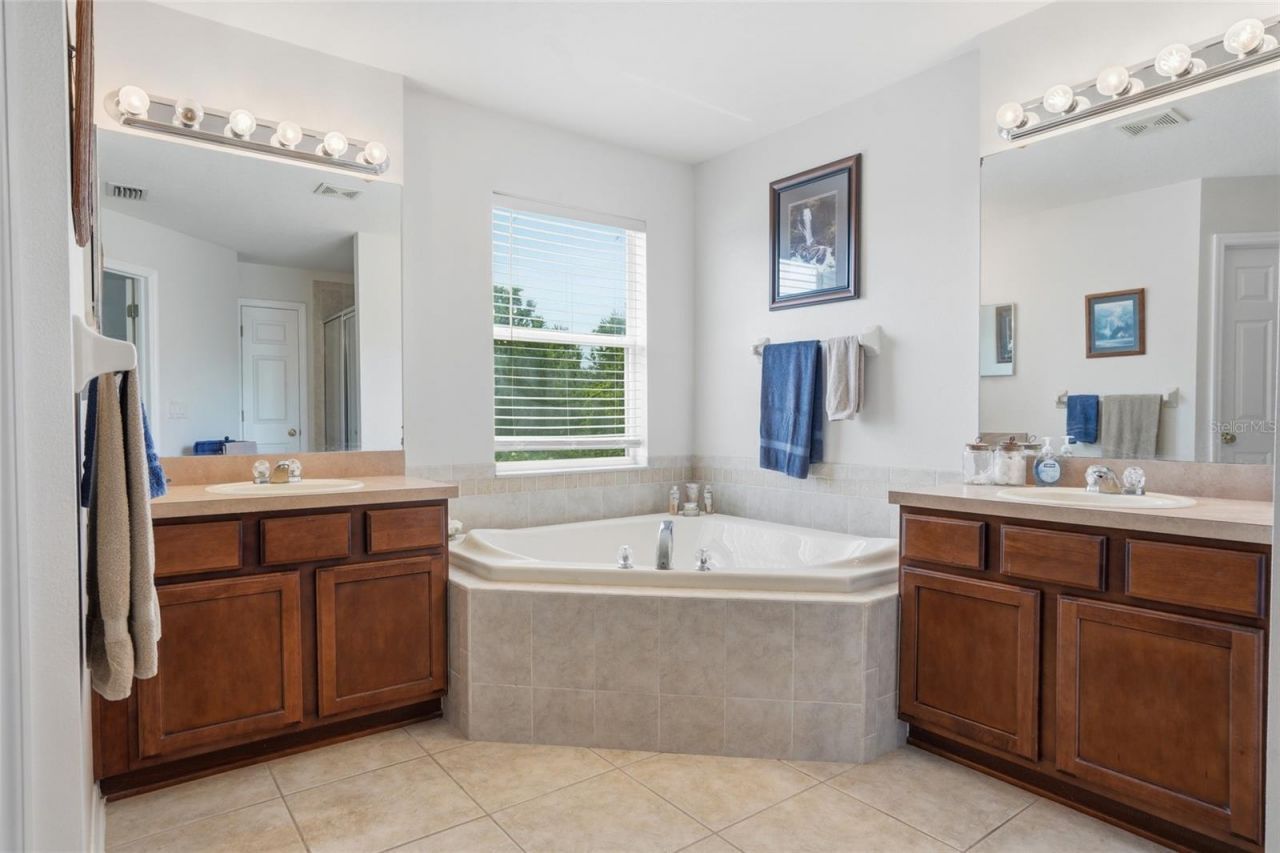 9643 Asbel Estates Street, Land O Lakes, FL 34638 Photo