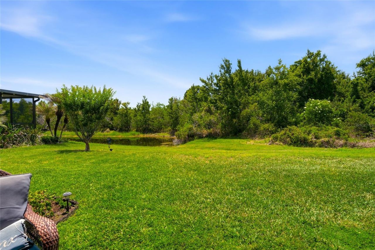 9643 Asbel Estates Street, Land O Lakes, FL 34638 Photo