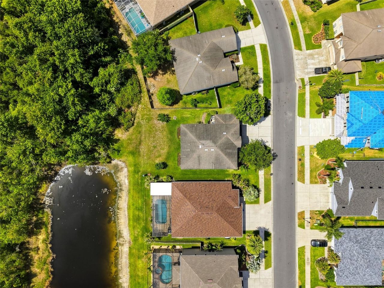 9643 Asbel Estates Street, Land O Lakes, FL 34638 Photo