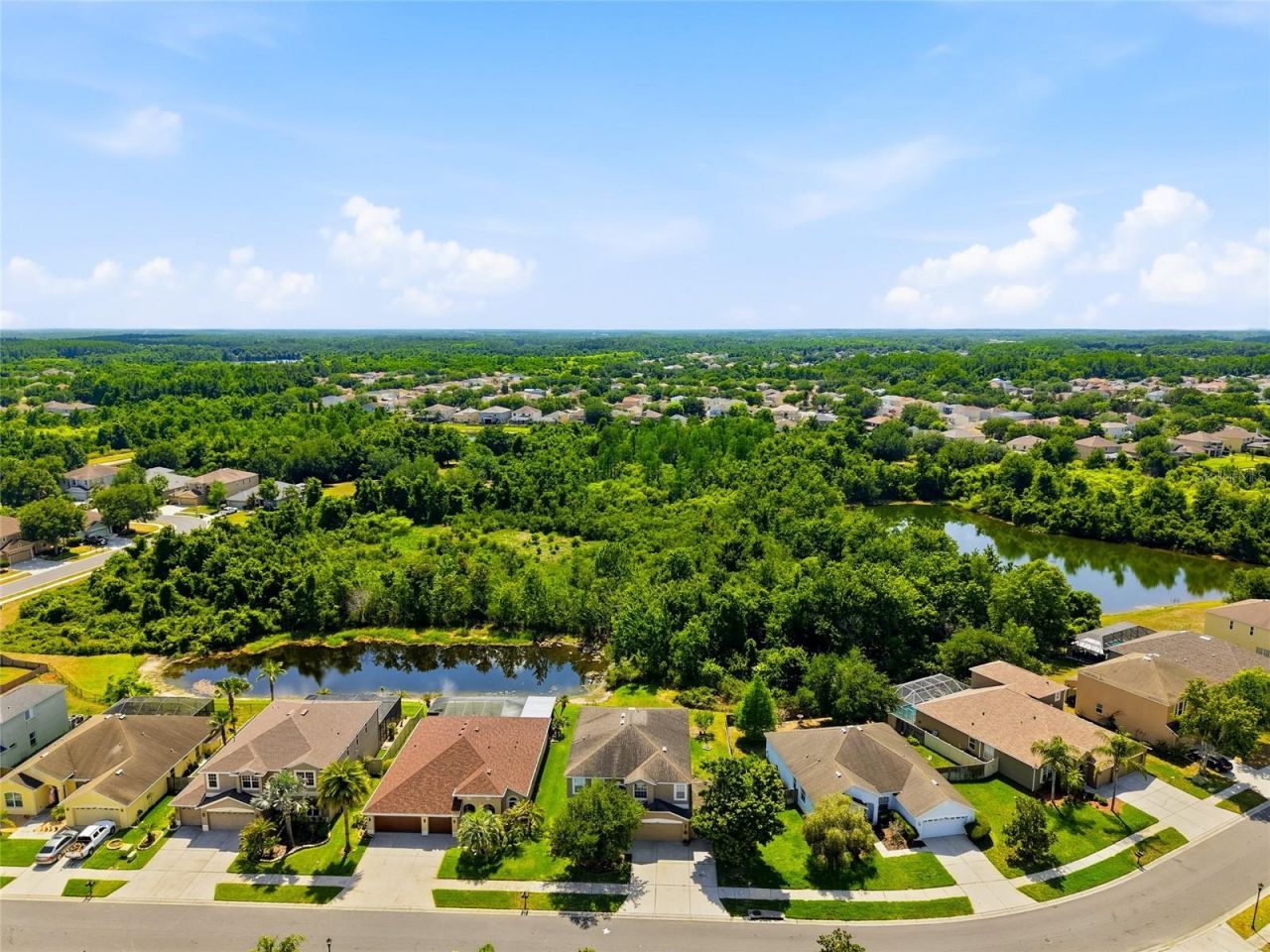 9643 Asbel Estates Street, Land O Lakes, FL 34638 Photo