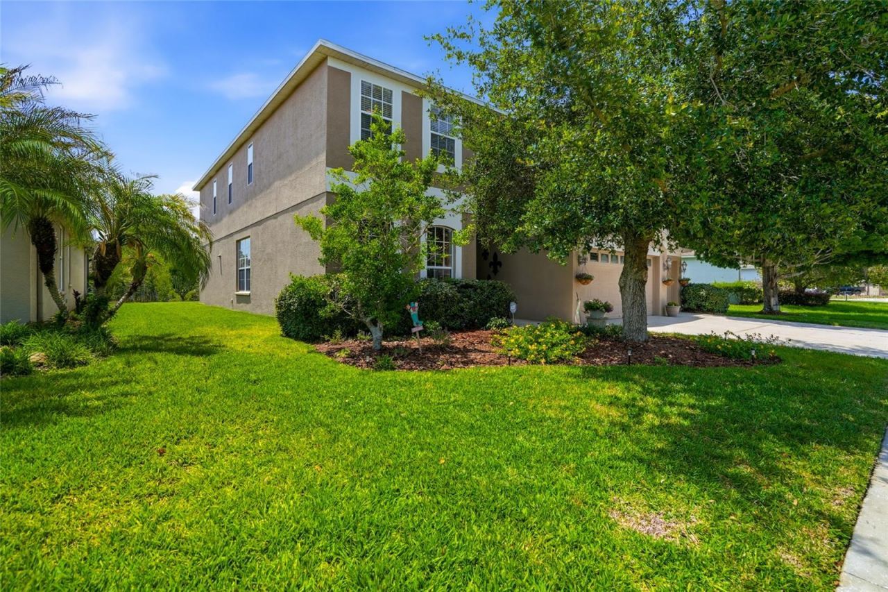 9643 Asbel Estates Street, Land O Lakes, FL 34638 Photo