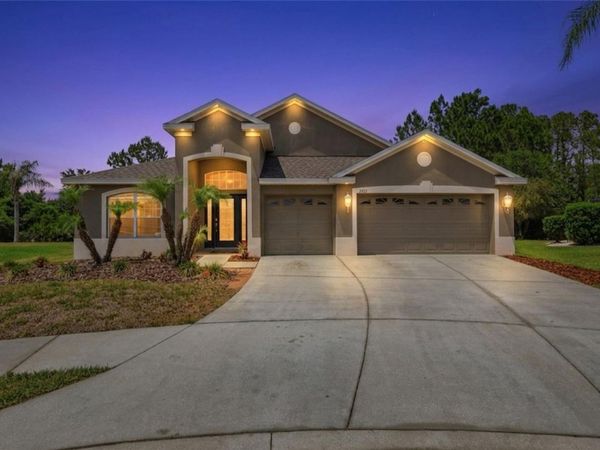 2453 ADDINGTON PLACE , WESLEY CHAPEL, FL 33543