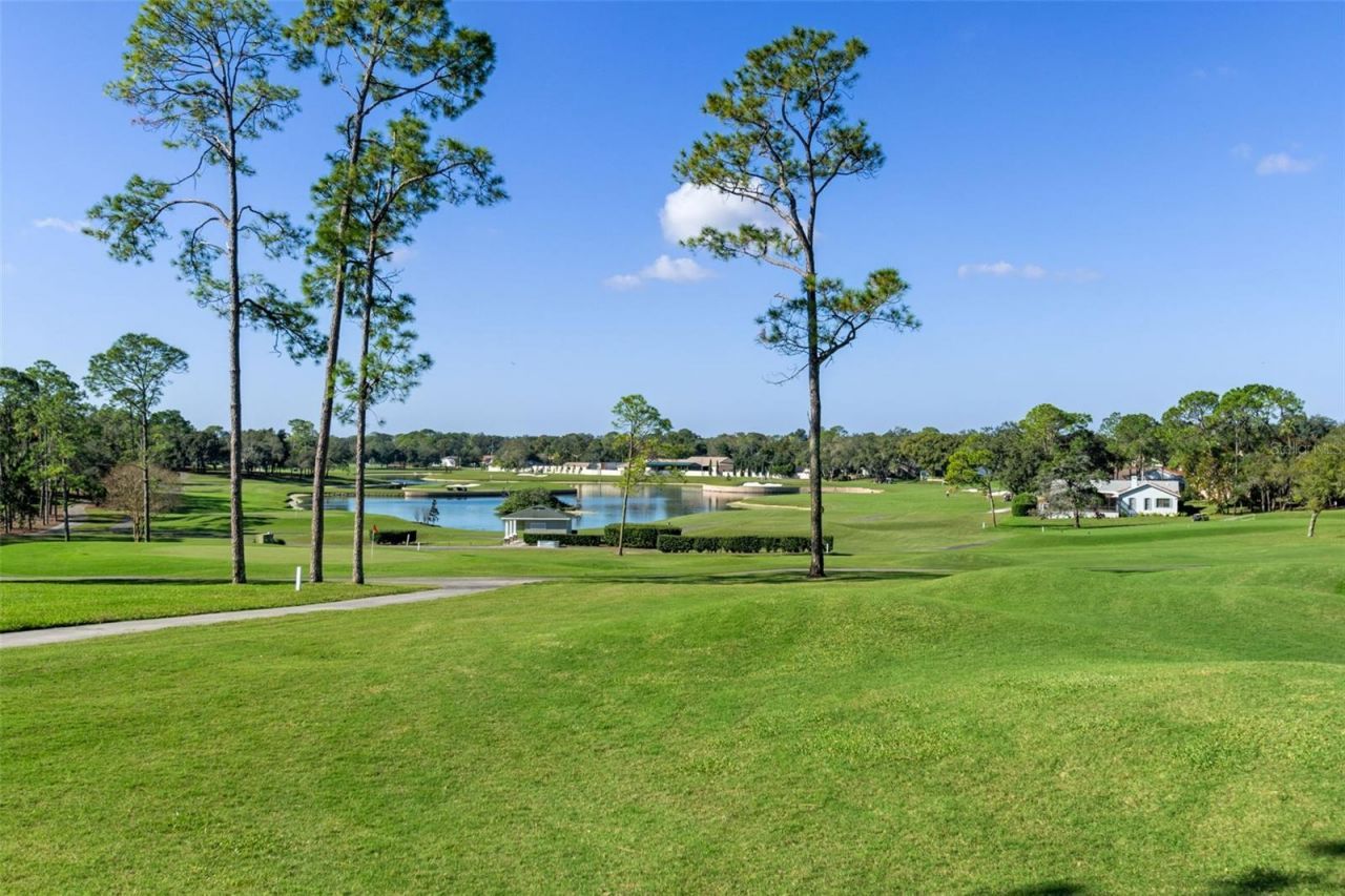 2643 Royal Ridge Drive , Spring Hill, FL 34606 Photo