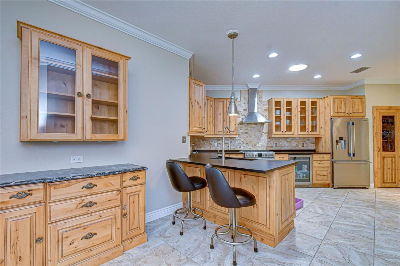 6069 Sandhill Ridge Drive , Lithia, FL 33547 Photo