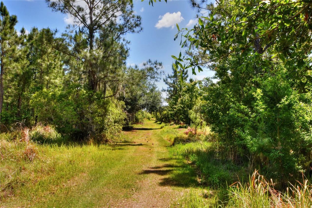 0 Lake Buffum Road W, Fort Meade, FL 33841 Photo