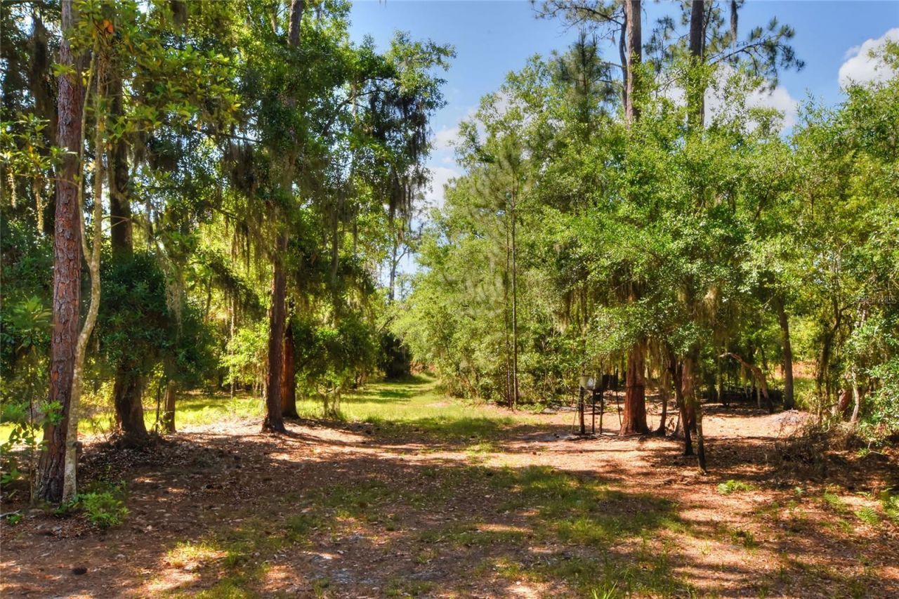 0 Lake Buffum Road W, Fort Meade, FL 33841 Photo