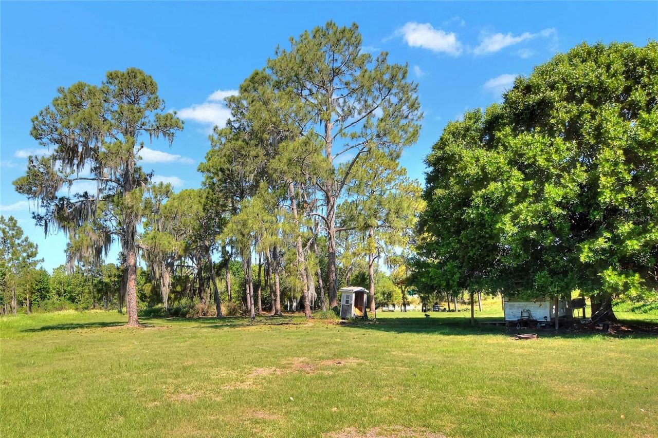 0 Lake Buffum Road W, Fort Meade, FL 33841 Photo