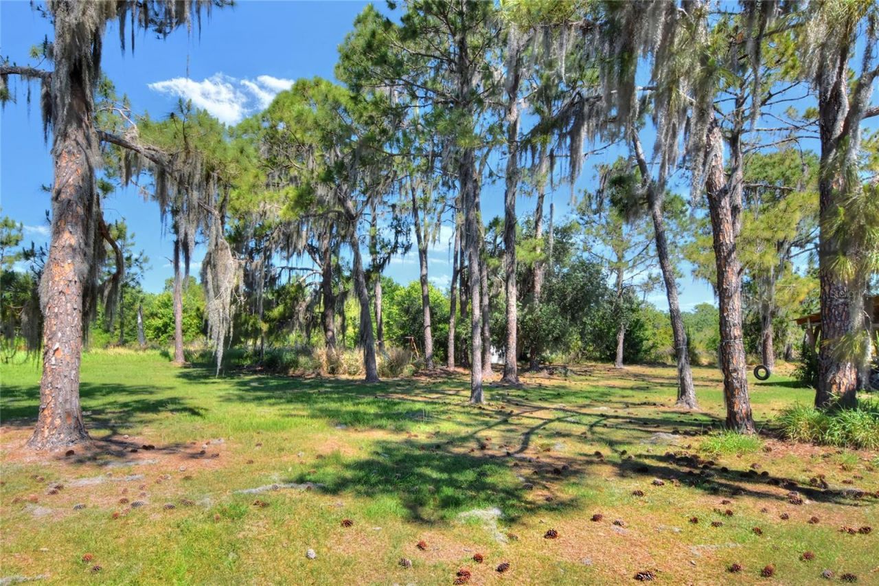0 Lake Buffum Road W, Fort Meade, FL 33841 Photo