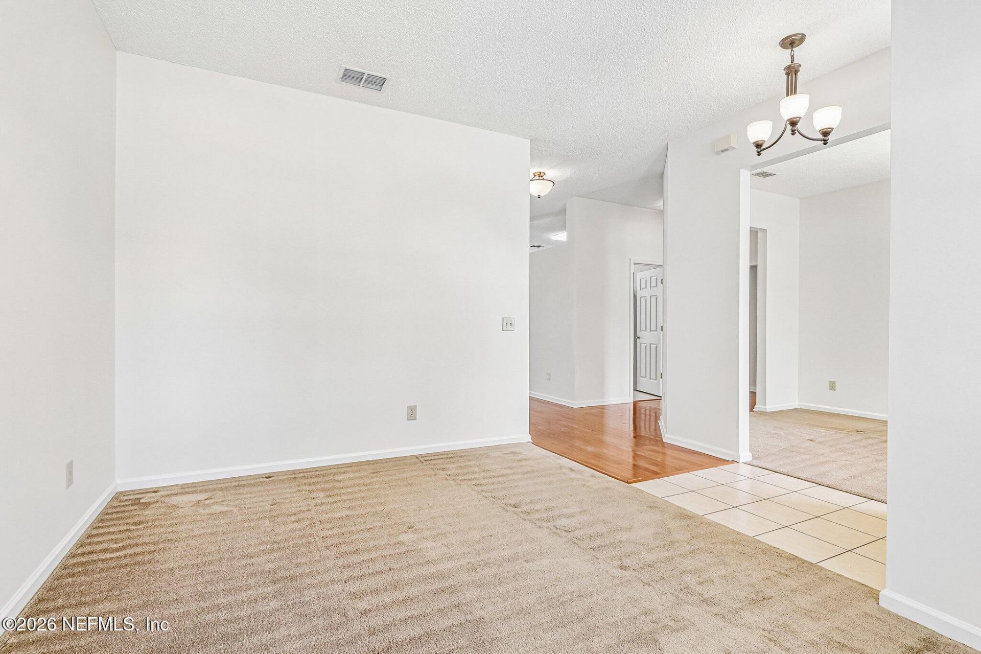 3291 Chimney Drive, Middleburg, FL 32068 Photo