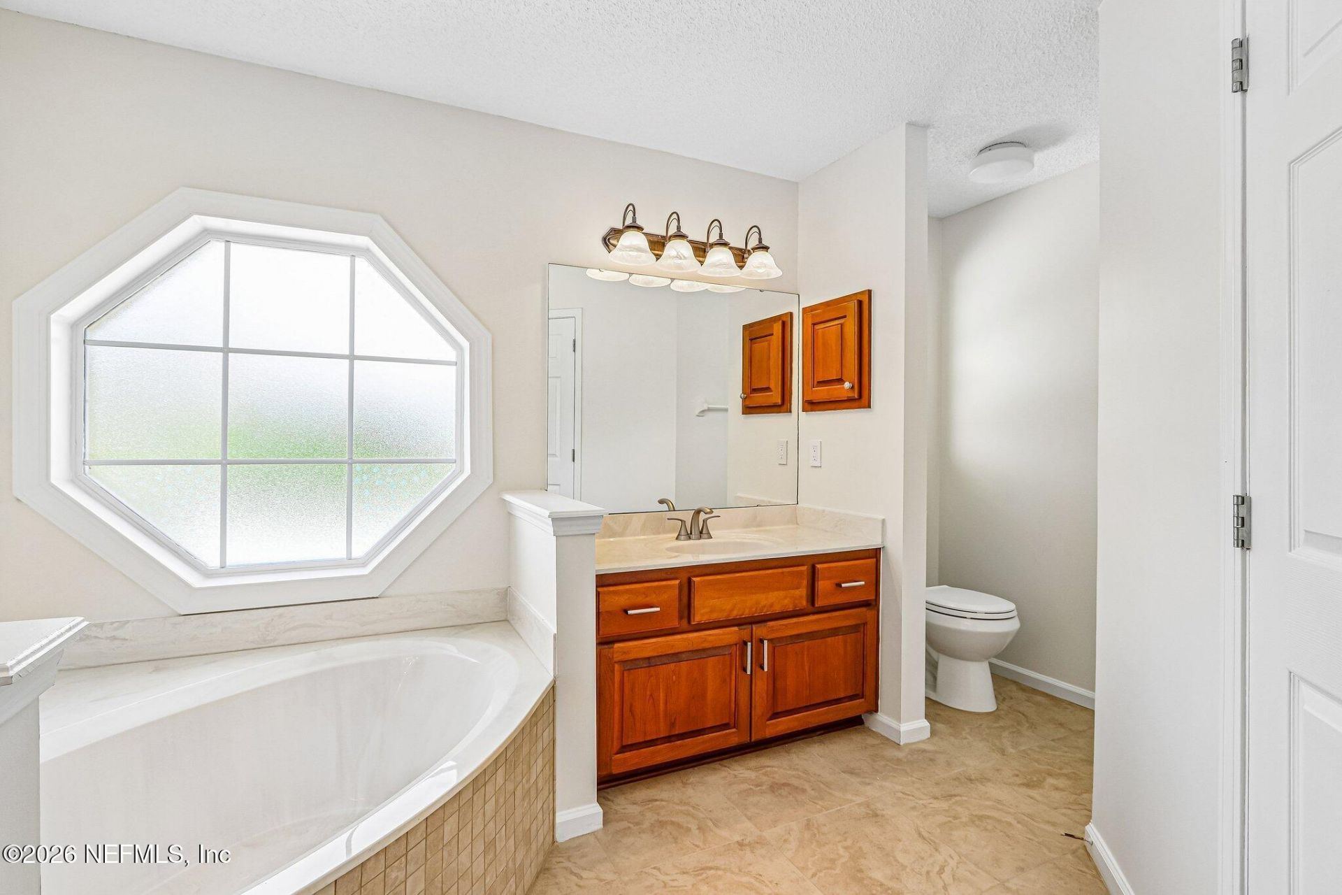 3291 Chimney Drive, Middleburg, FL 32068 Photo