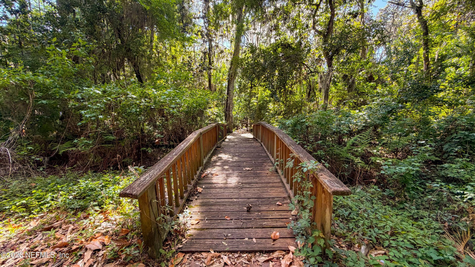 13451 Owl Hollow Court, Jacksonville, FL 32223 Photo