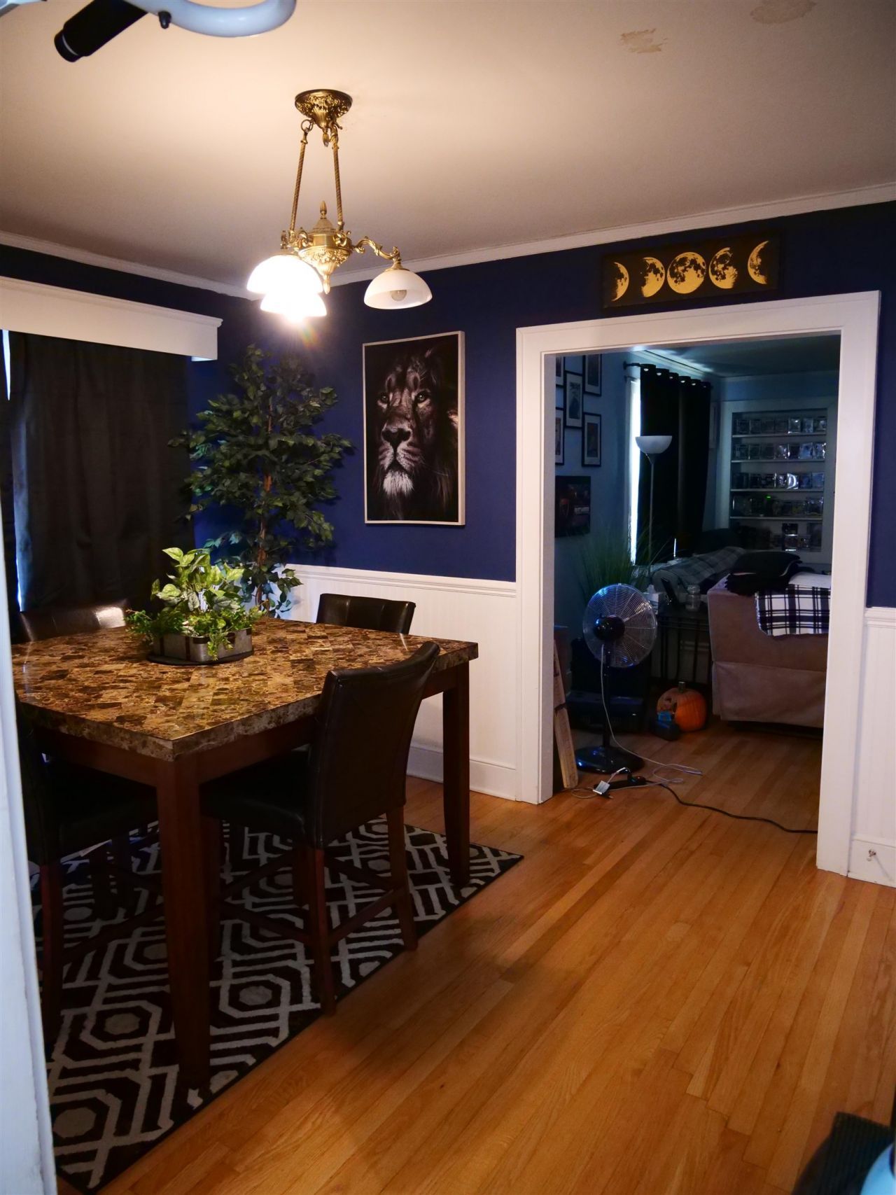 1713 Oak St. Photo 10