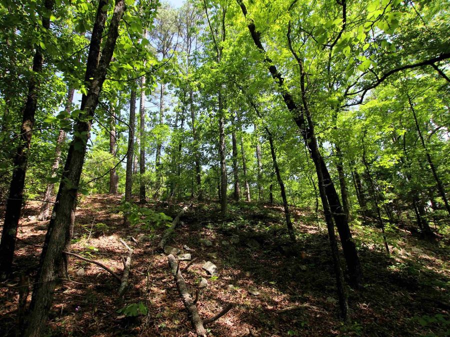 Property Image 19