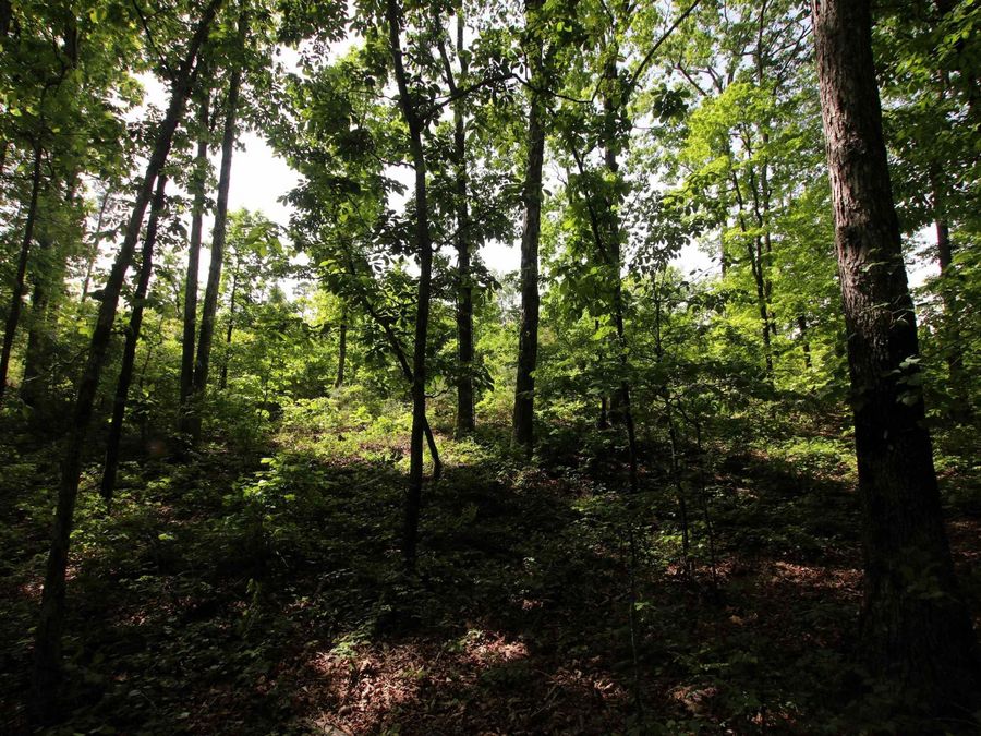 Property Image 22