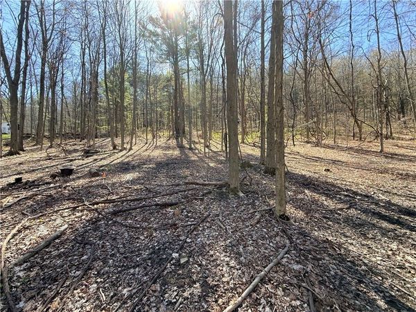 Fitzgerald Road, Burdett, NY 14818