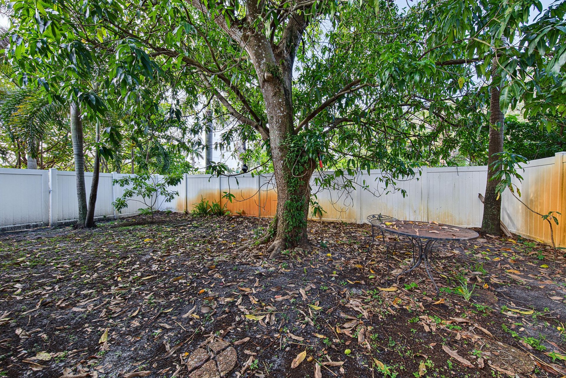 1425 SW 19th Avenue, Fort Lauderdale, FL 33312 Photo