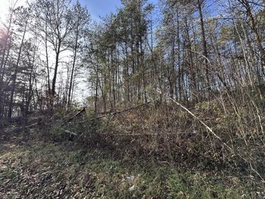 0 Hemlock Subdivision Road, Williamsburg, KY 40769