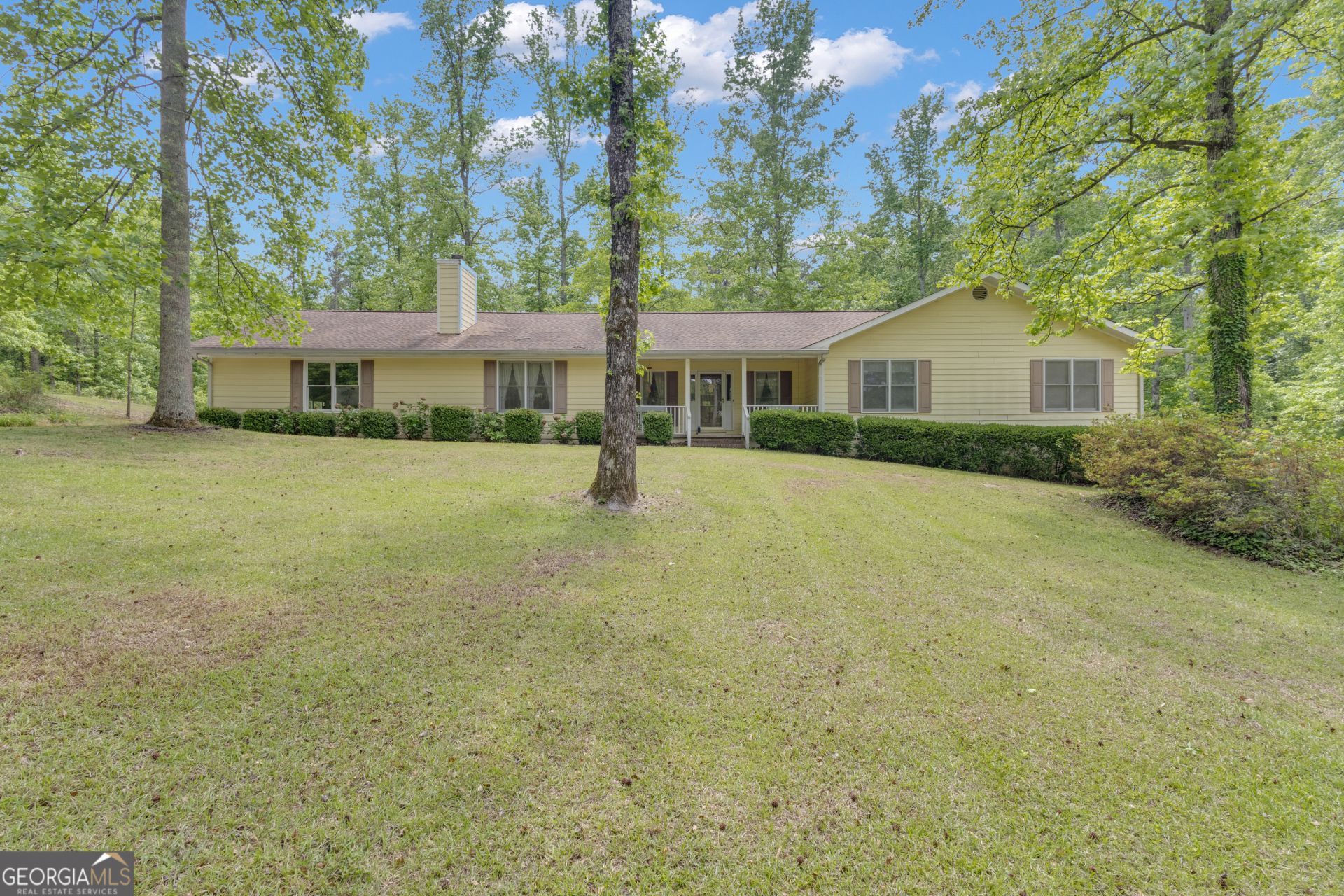 154 Tanglewood Lane, Sharpsburg, GA 30277 Main Photo