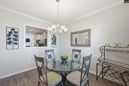 223 Cassique Drive photo 4