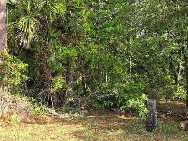 9351 NW 120TH STREET , CHIEFLAND, FL 32626