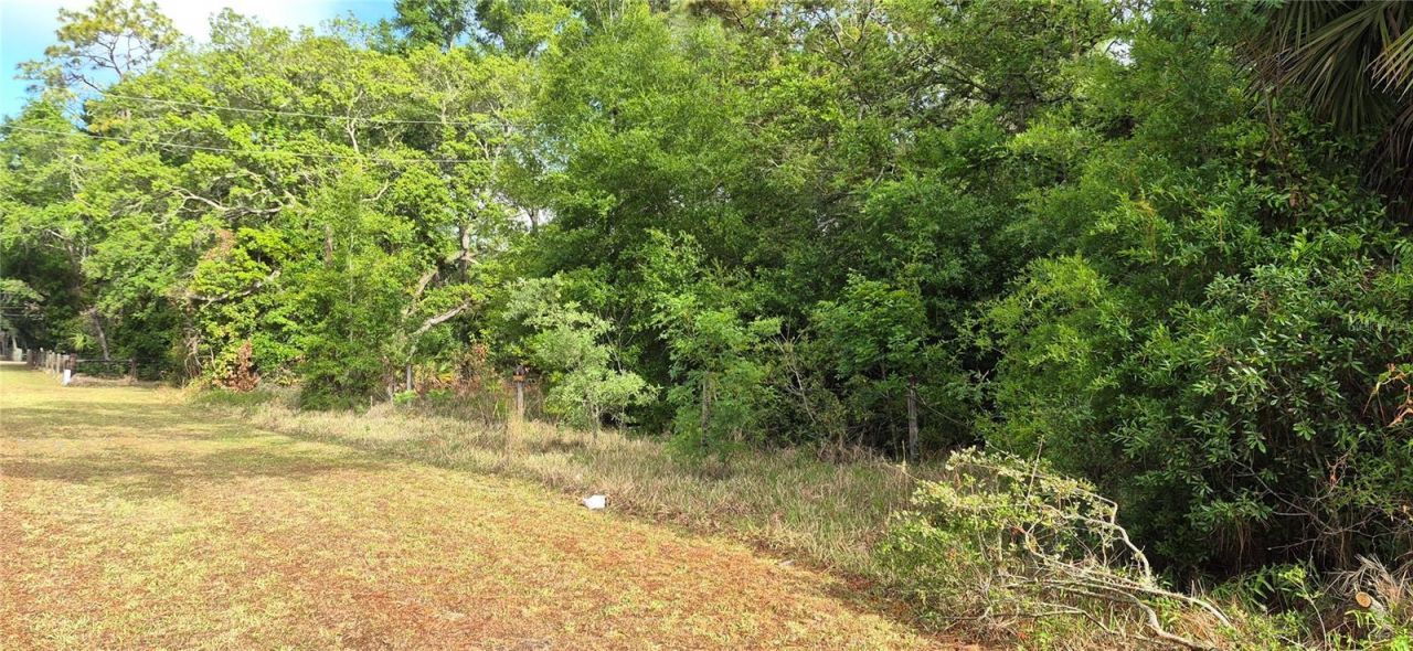 9351 NW 120th Street, Chiefland, FL 32626 Photo