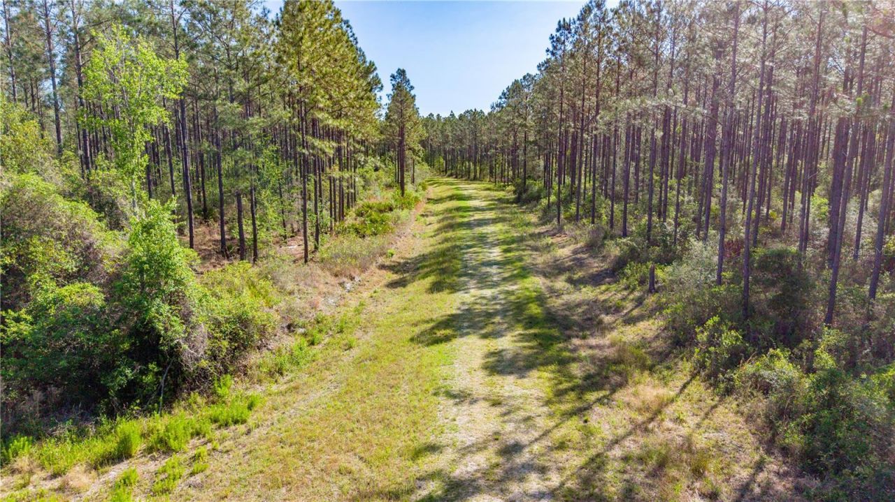 Tbd NW 57th Lane , Starke, FL 32091 Photo